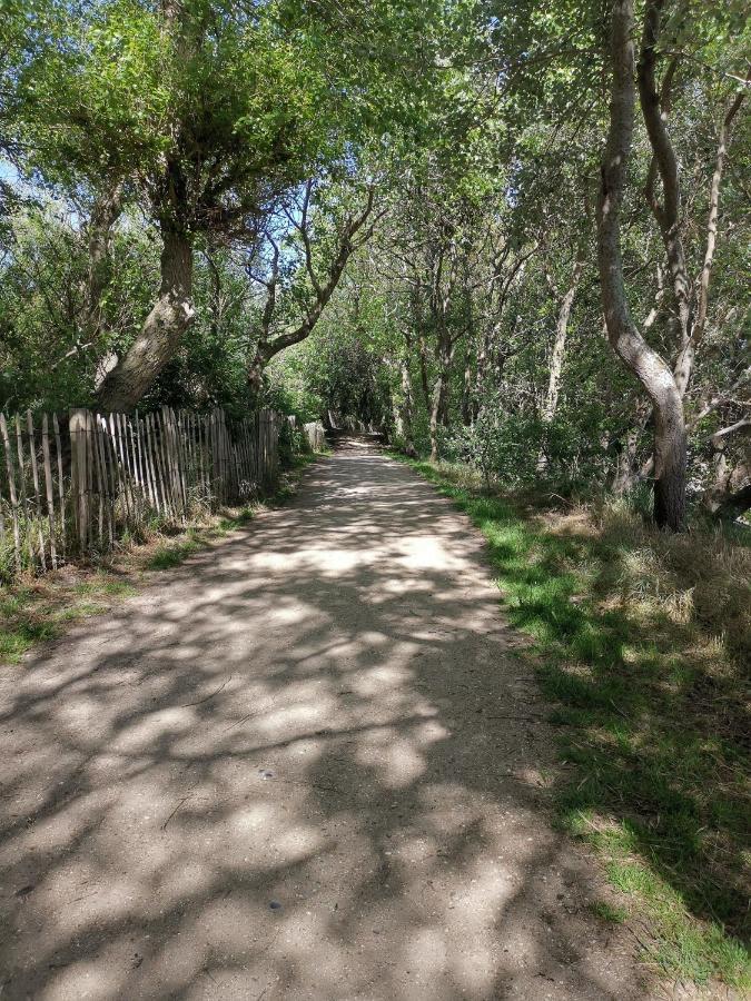 Griad In De Duinen De Haan Eksteriør billede
